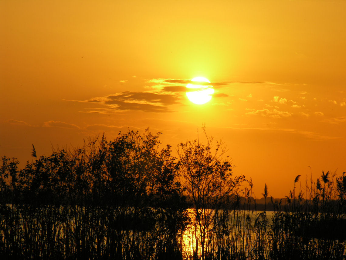 Tramonti sul lago di Massaciuccoli